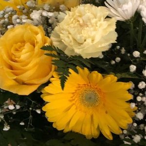 Meet your Posher, Tracie